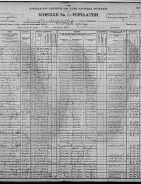 Documents/SCHNEIDER Catherine 1900 Census.jpg