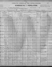 Documents/BALDWIN AluraM 1900 Census Kankakee Illinois.jpg